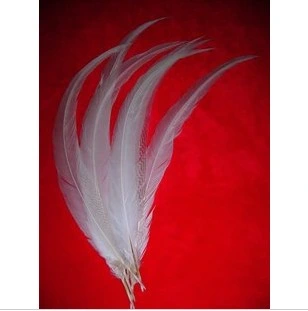 decoração com penas