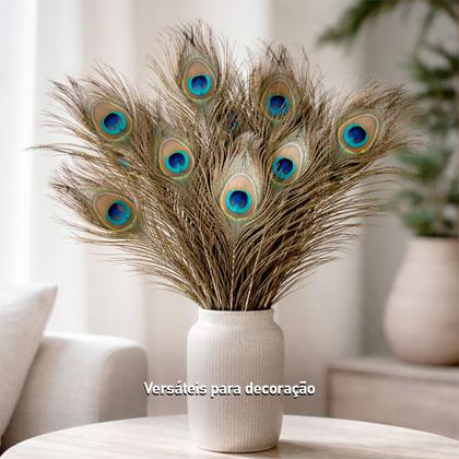 decoração com penas