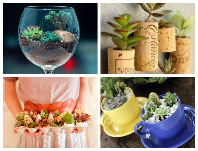 Como Cuidar de Suculentas em Pequenos Espaços