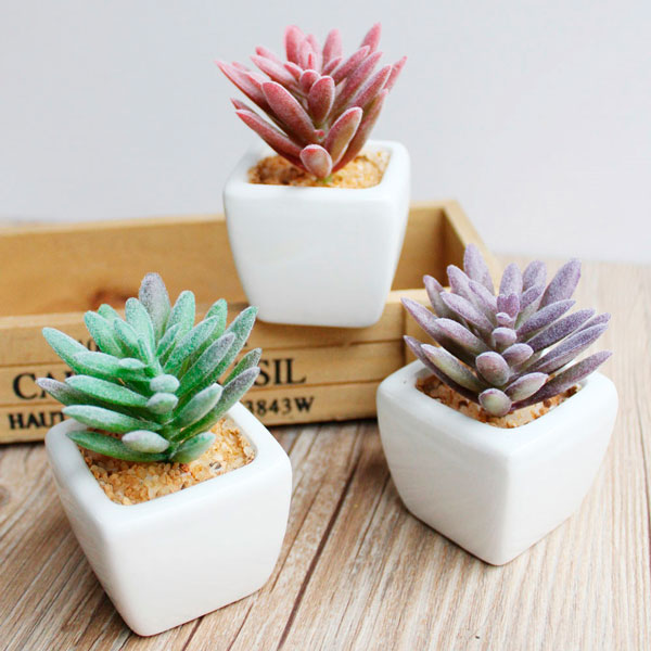 10 Ideias de Decoração com Rolhas de Vinho Além das Suculentas