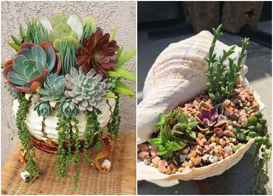 10 Ideias de Decoração com Rolhas de Vinho Além das Suculentas