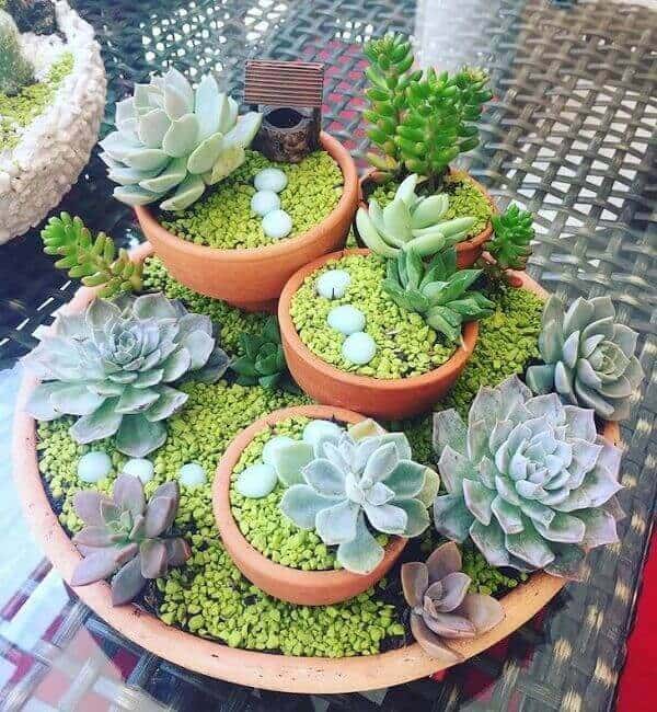 como fazer um terrário de suculentas passo a passo