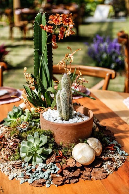 ideias criativas decoração suculentas ambientes