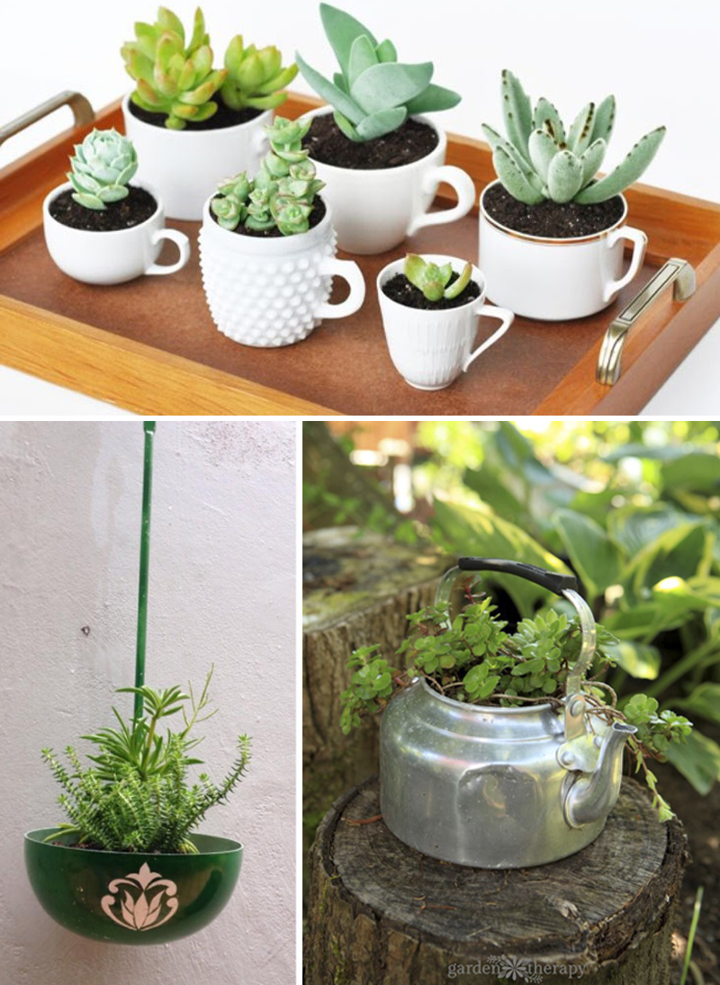 quanto custa decorar com suculentas