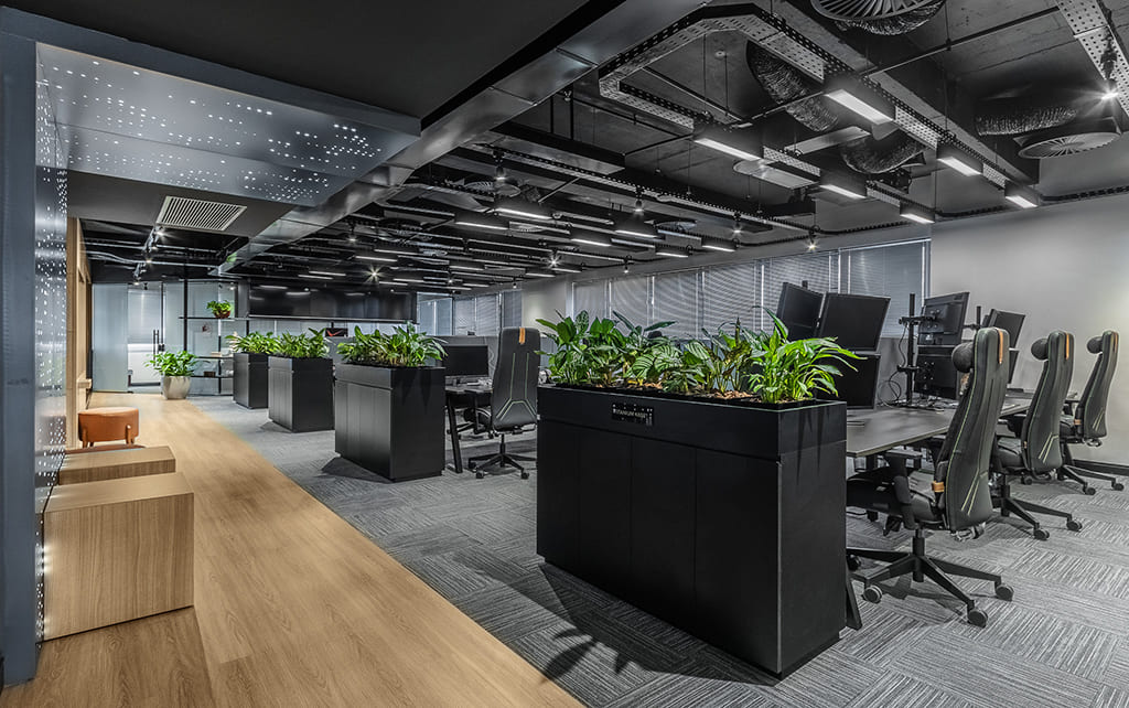 decoração escritório de arquitetura pequeno com plantas
