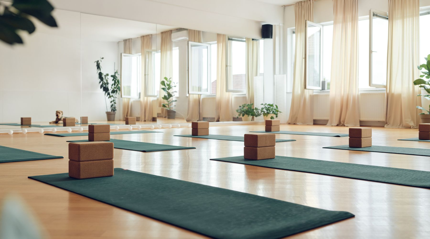 Escolhendo os Melhores Tapetes e Acessórios para sua Prática de Yoga