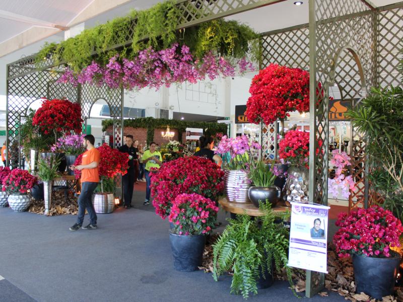 decoração de floricultura