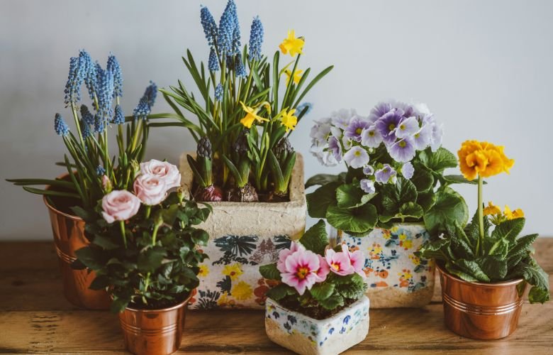 erros comuns na decoração de floricultura