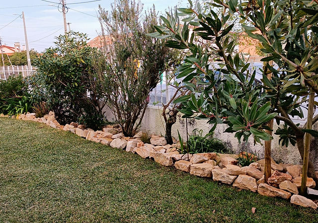 projetos de jardim com pedras
