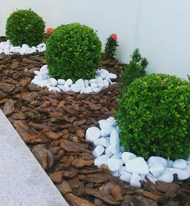 jardim com pedras e plantas