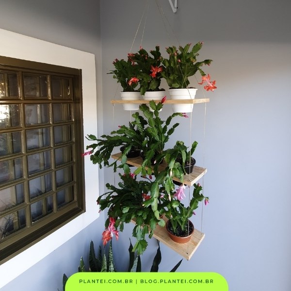quanto custa decorar uma loja de plantas