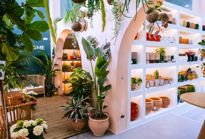 decoração loja de plantas vs decoração loja de flores