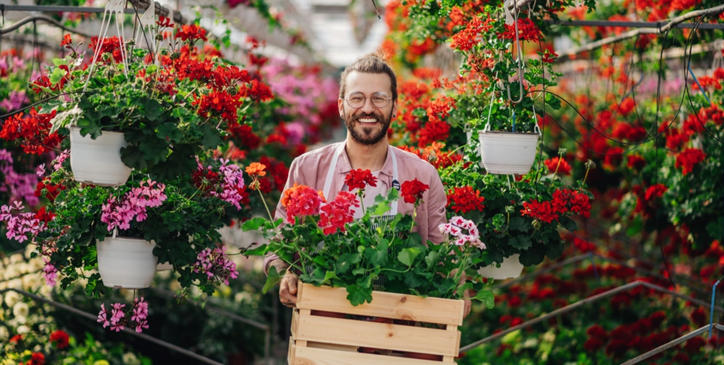 decoração loja de plantas vs decoração loja de flores