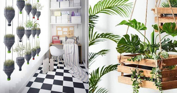 quanto custa decorar uma loja de plantas