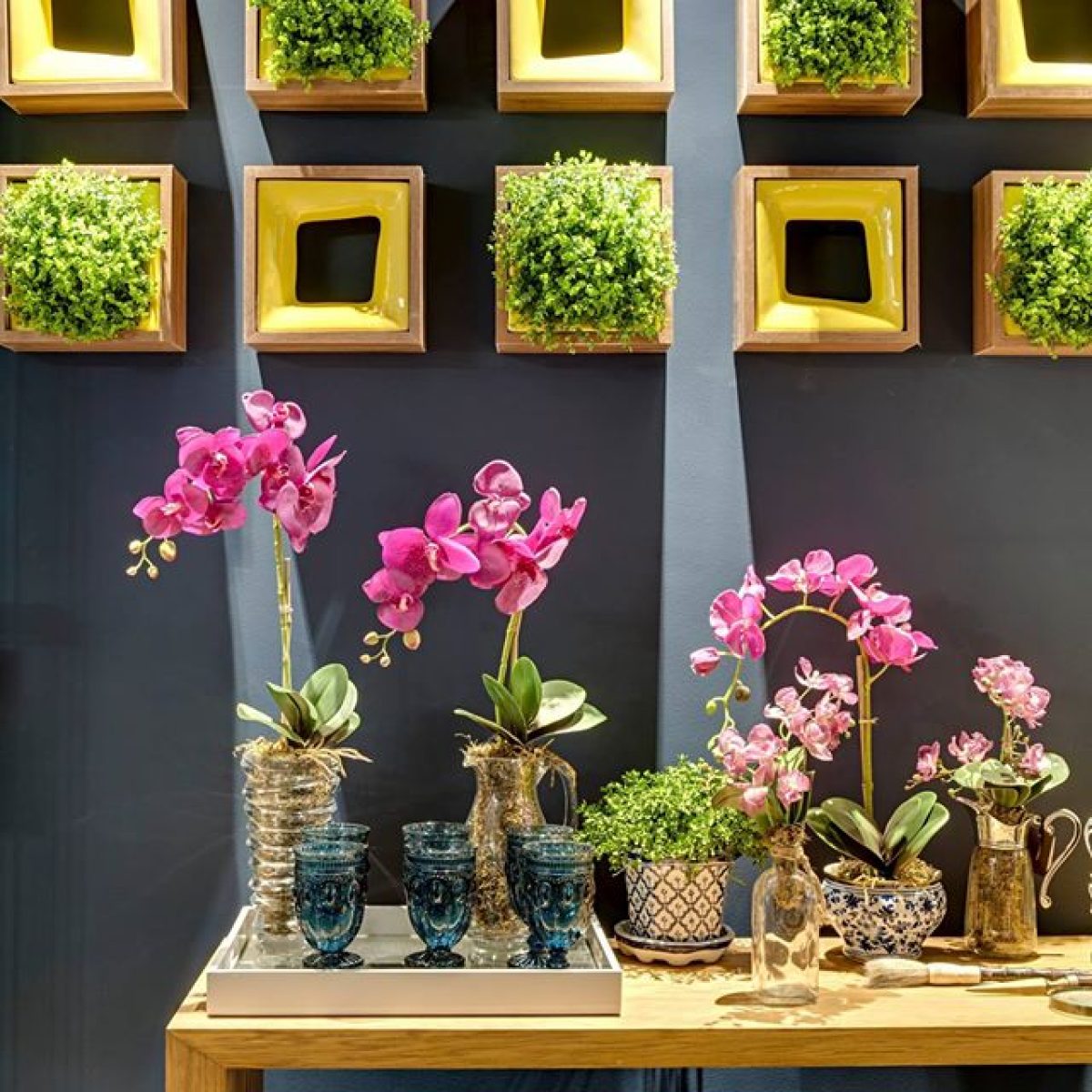 como usar jardim vertical na decoração de loja de plantas