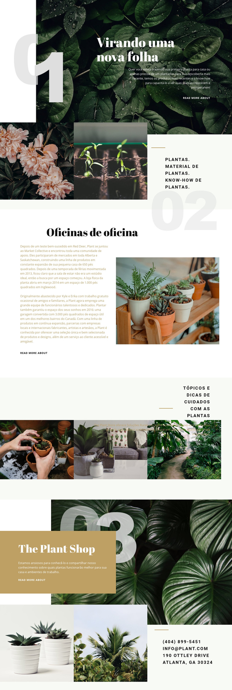 erros comuns ao decorar loja de plantas