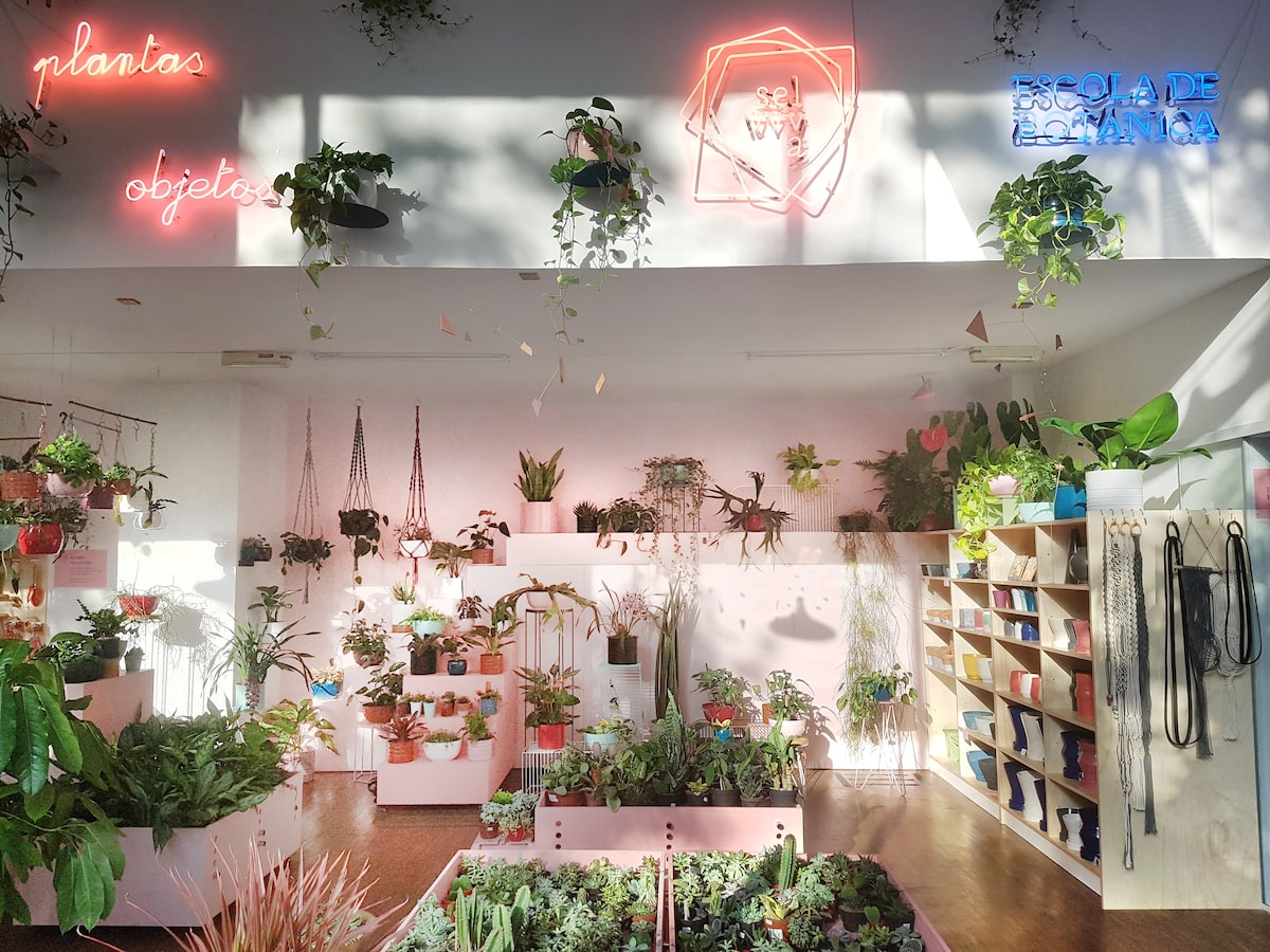 decoração loja de plantas vs decoração loja de flores