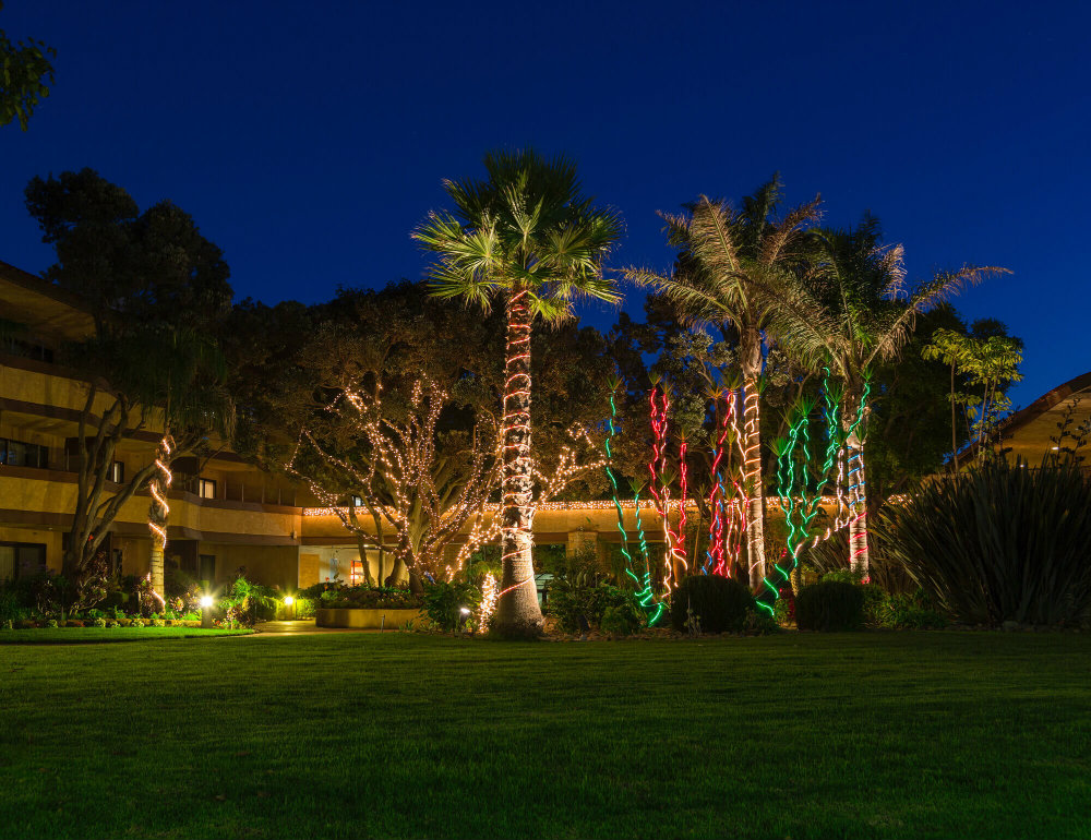 decoracao de natal jardim