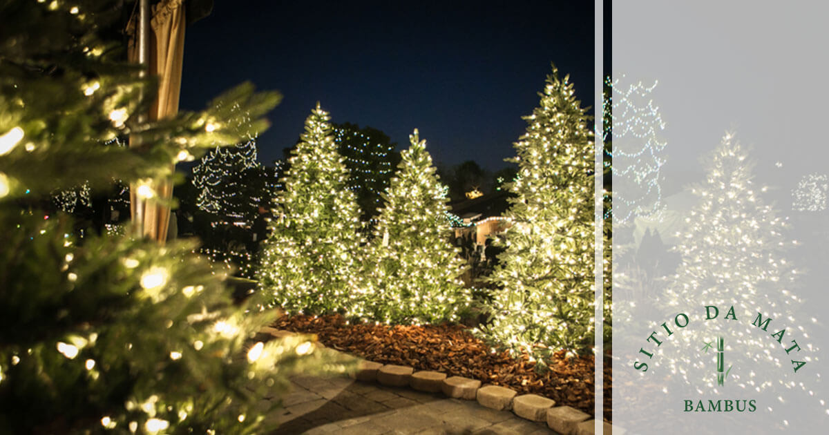 ideias criativas decoracao de natal jardim