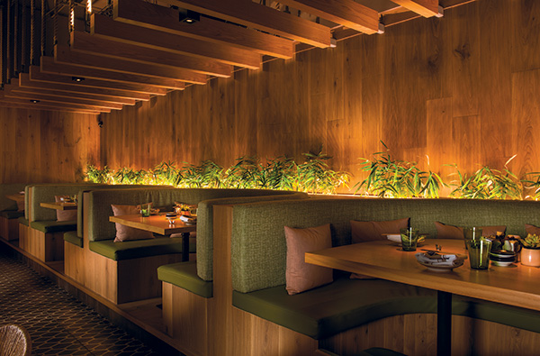 A Psicologia das Cores na Decoração de Restaurantes Japoneses