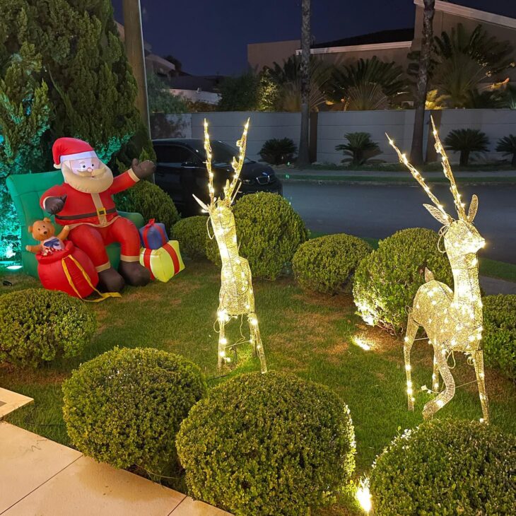 decoração natalina externa com luzes coloridas