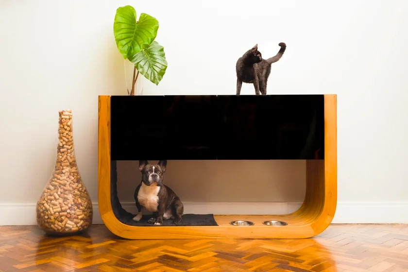 organizadores para pets