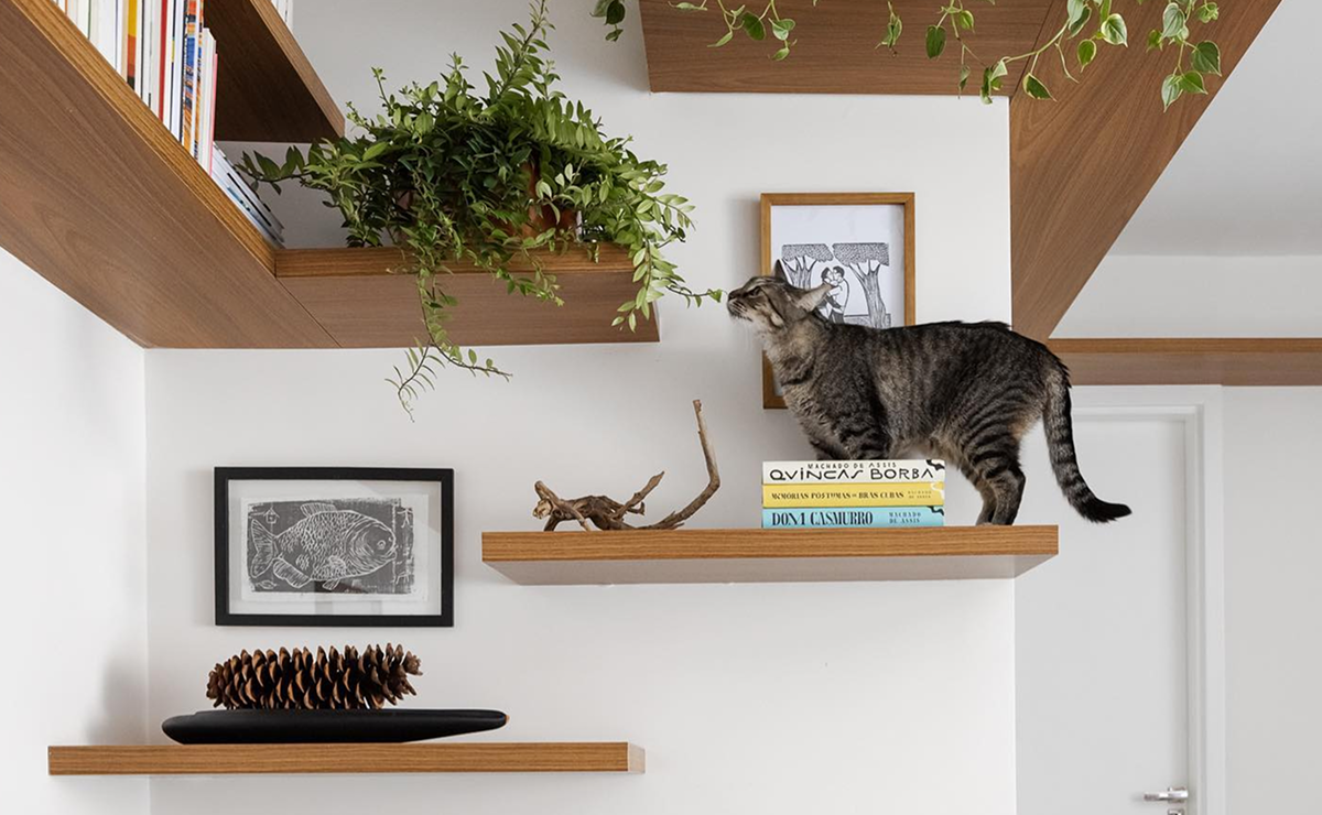 decoração para casas com gato