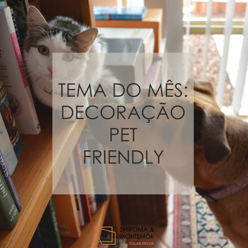 cozinhas pet friendly