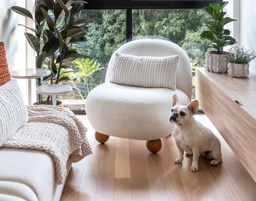 móveis planejados pet friendly
