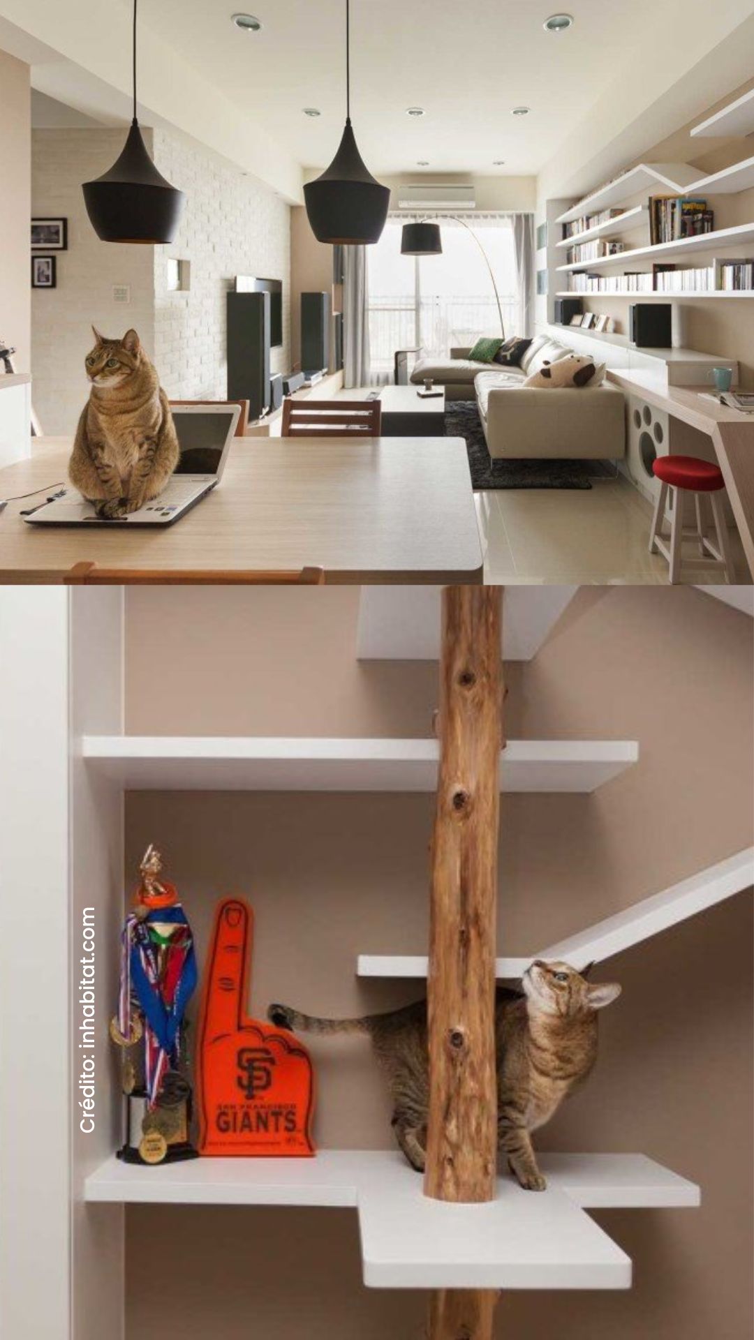 quartos pet friendly