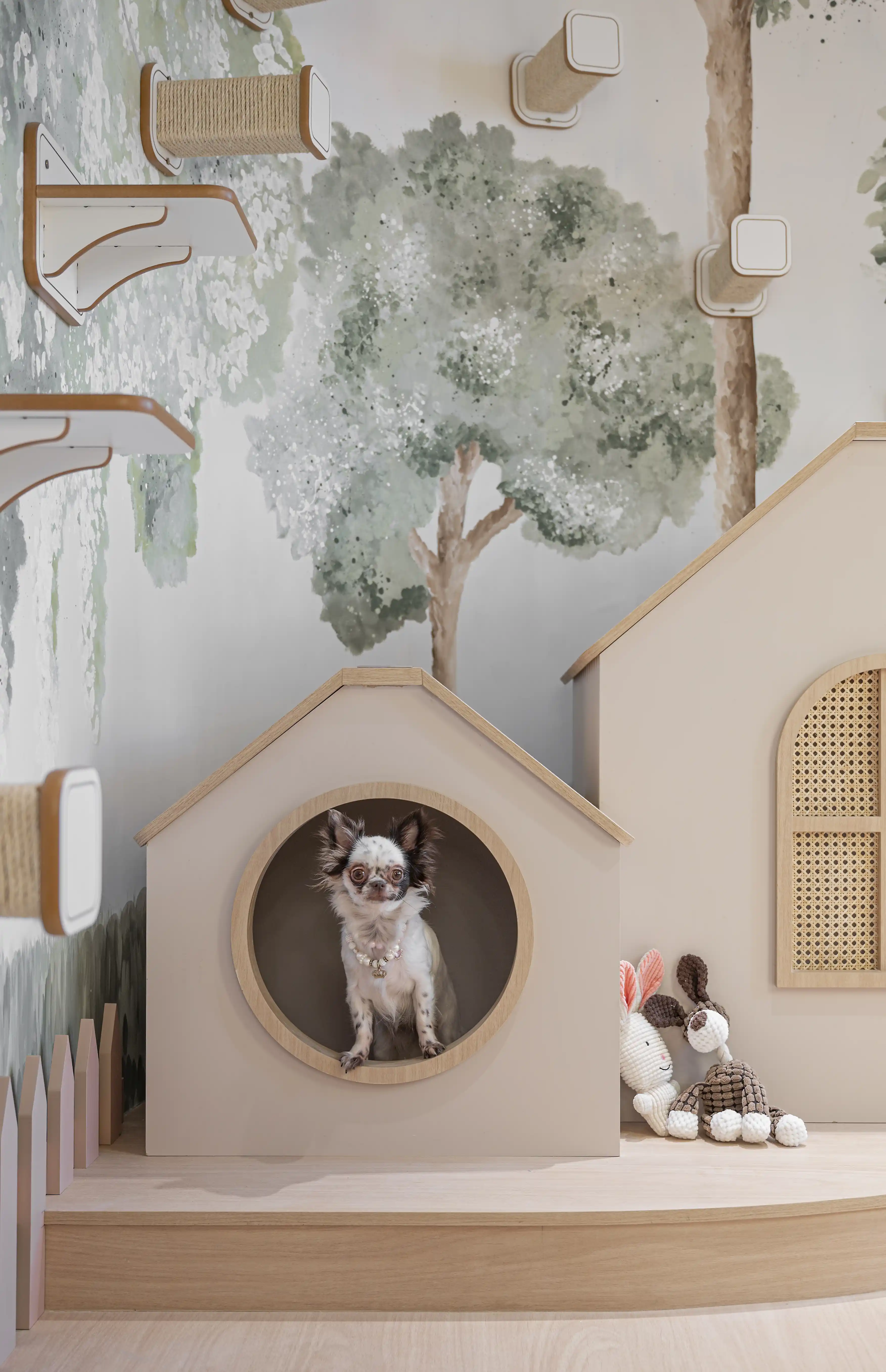 ideias de cantinhos para pets