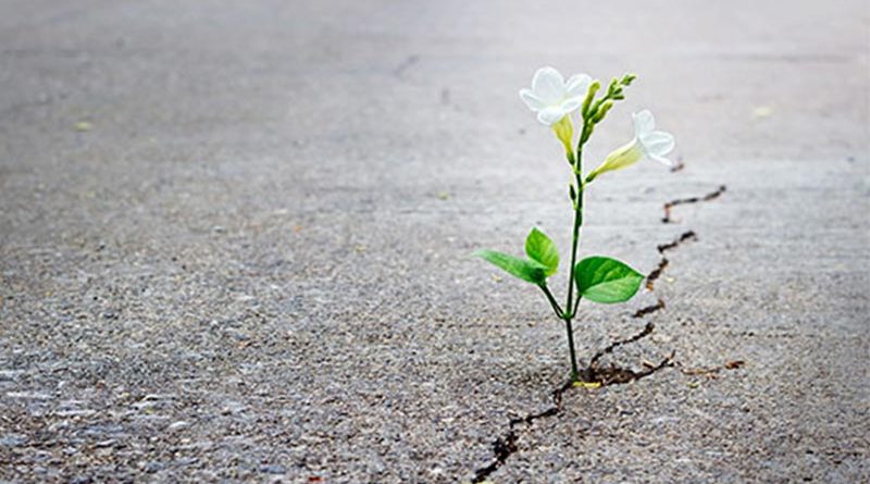 esperança na bíblia