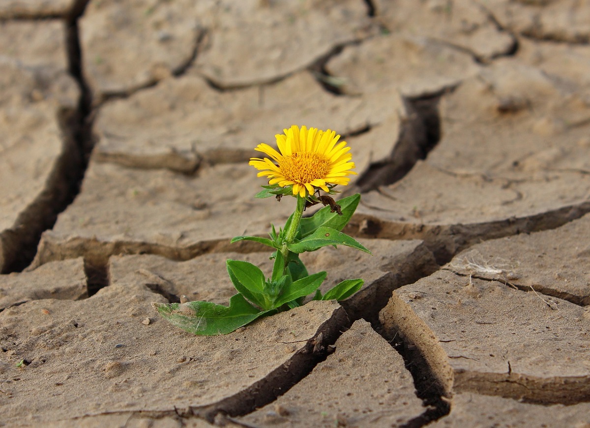 esperança em tempos difíceis