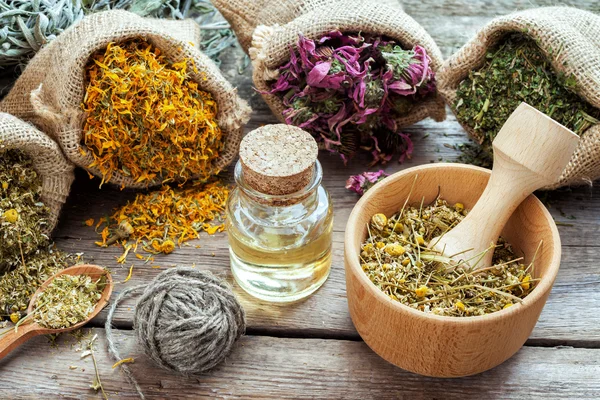 plantas medicinais