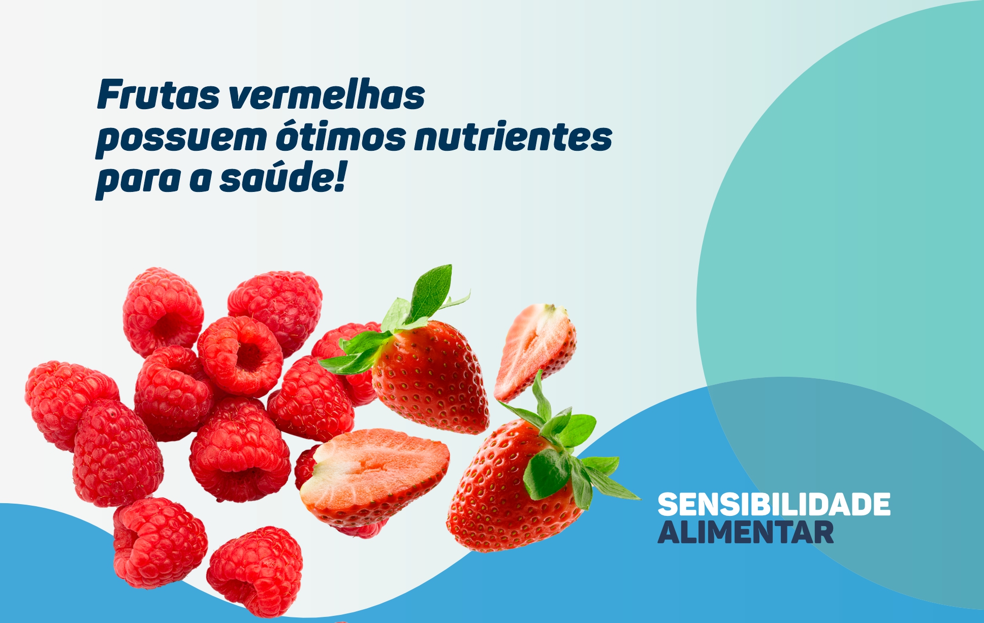 benefícios antioxidantes frutas vermelhas