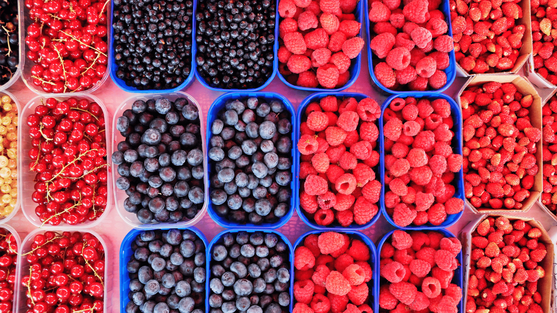antocianinas em frutas vermelhas