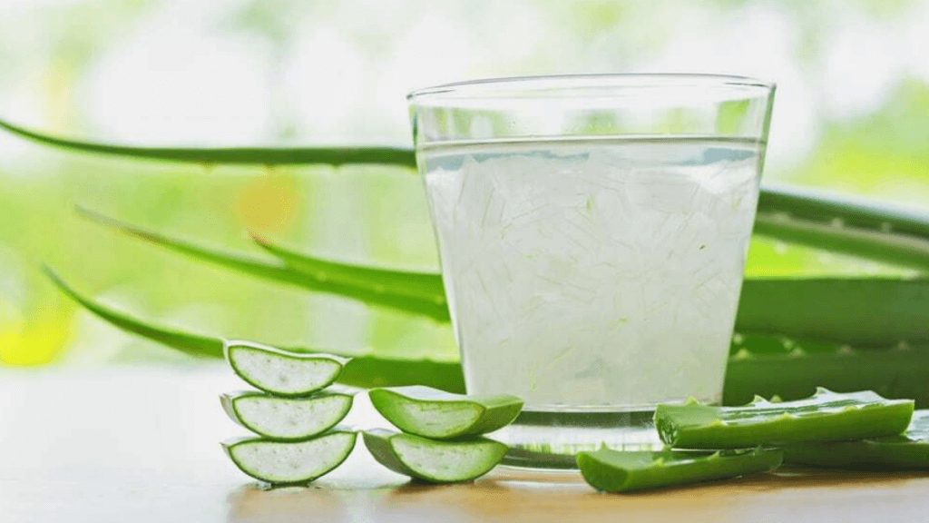 5 Benefícios Surpreendentes do Gel de Babosa para a Pele