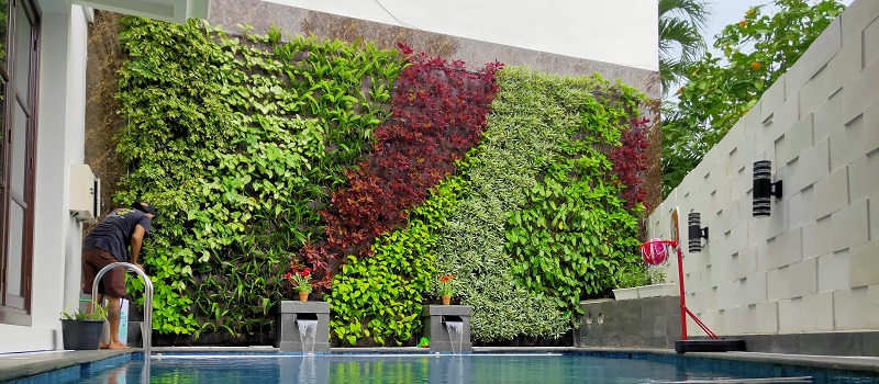 ideias de jardim vertical para apartamento pequeno