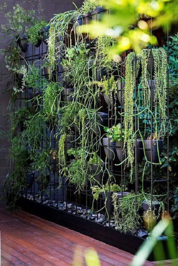 melhores plantas para jardim vertical com sol pleno