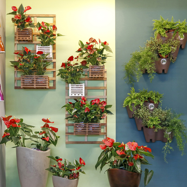 jardim vertical natural vs artificial qual escolher