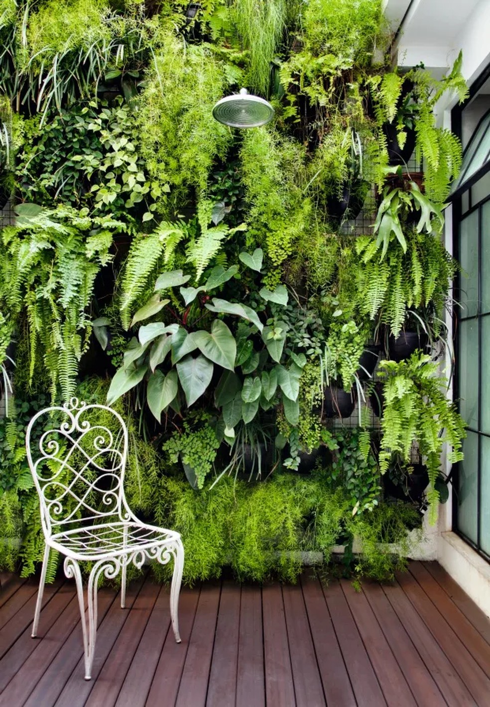 melhores plantas para jardim vertical com sol pleno
