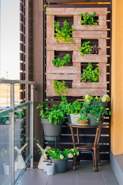 ideias de jardim vertical para apartamento pequeno
