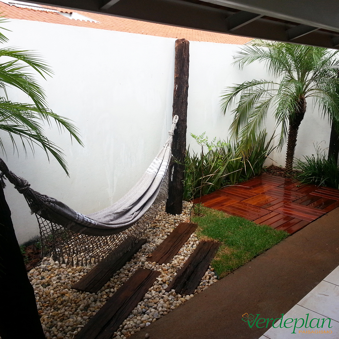 5 Plantas Essenciais para um Jardim Sustentável