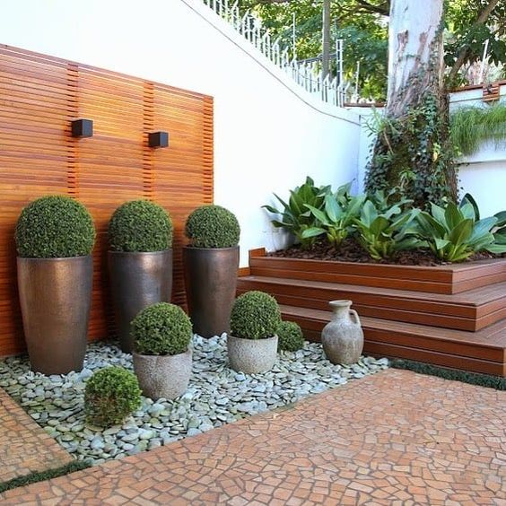 5 Plantas Essenciais para um Jardim Sustentável