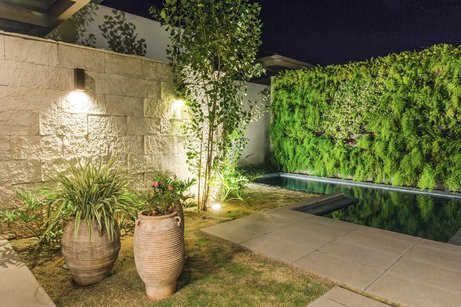 5 Plantas Essenciais para um Jardim Sustentável