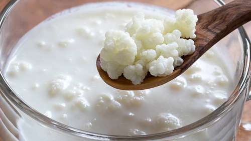 kefir o que é e como fazer em casa
