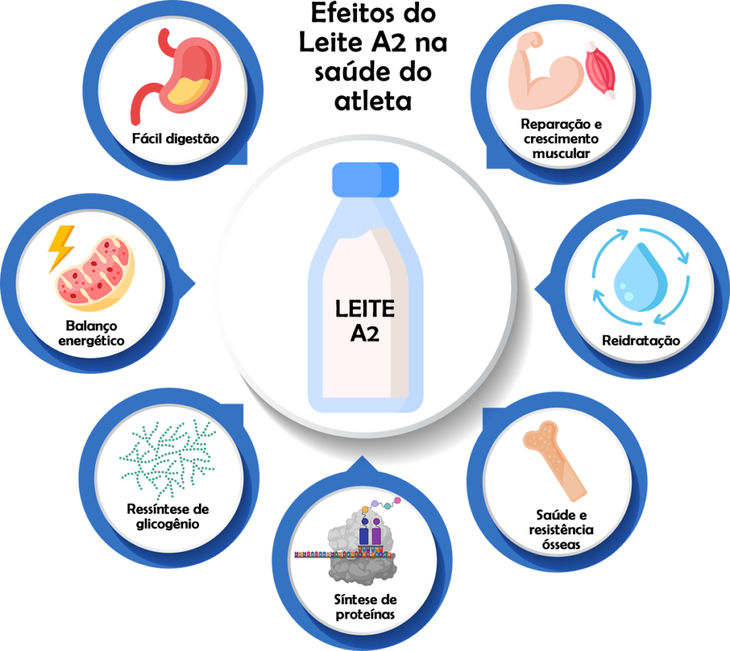 erros ao escolher leite a2a2