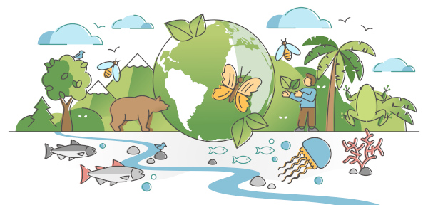 principais desafios preservação ambiental brasil