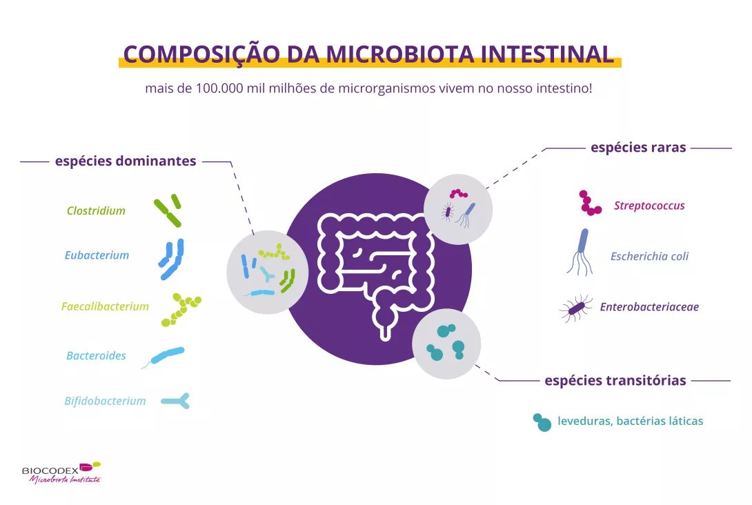 Microbiota intestinal