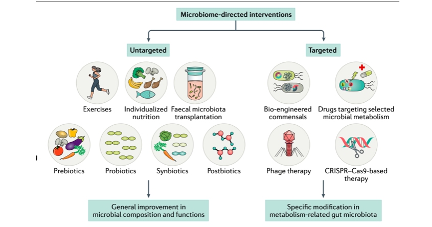 Microbiota intestinal